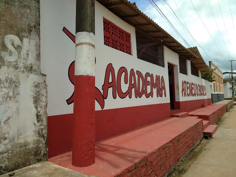 Academia Ateneu D. Bosco