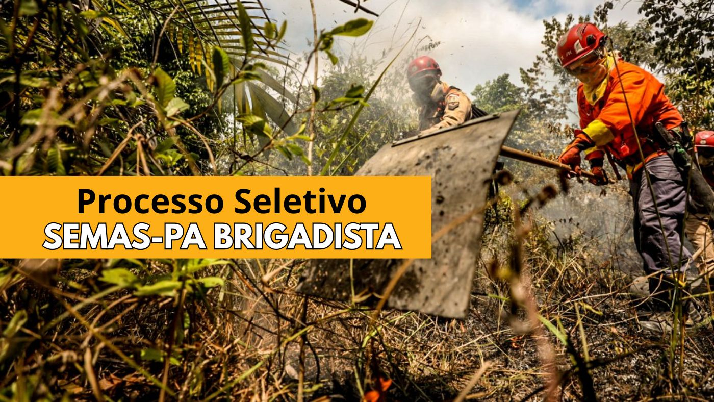 Oportunidade: SEMAS-PA Abre Processo Seletivo para Brigadistas Florestais com 112 Vagas e Auxílio de até R$ 3 mil